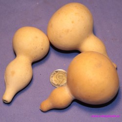 Ozdoby i kryjówki II